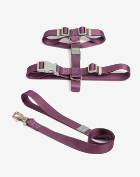 Conjunto Peitoral H e Guia Blossom