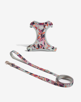 Conjunto Peitoral Neocomfy e Guia para Gatos Trancoso