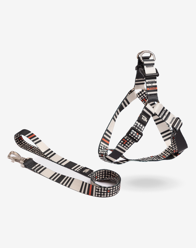 Conjunto Peitoral Step In e Guia Sampa