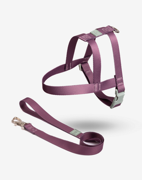Conjunto Peitoral Tradicional e Guia Blossom
