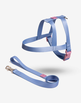 Conjunto Peitoral Tradicional e Guia Breeze