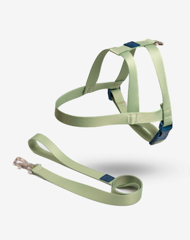 Conjunto Peitoral Tradicional e Guia Lime