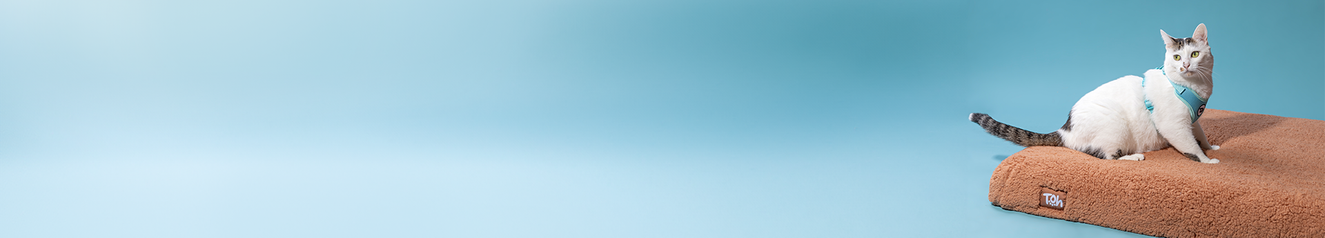 Imagem Desktop