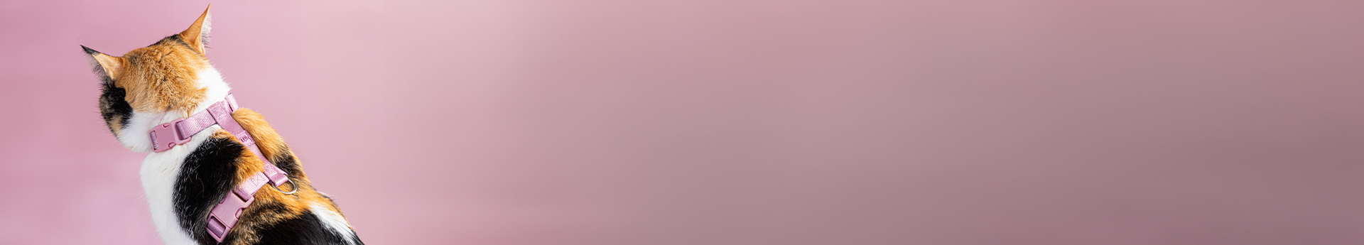 Imagem Desktop