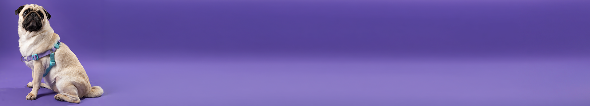 Imagem Desktop