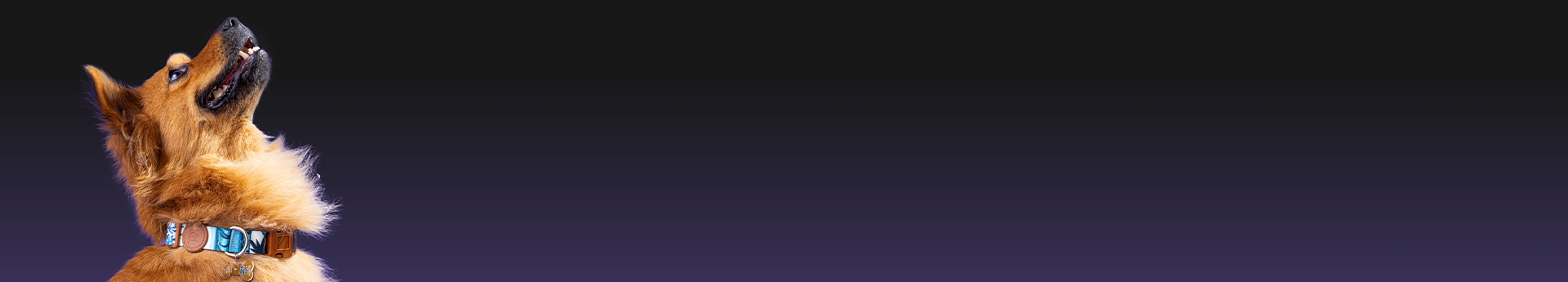 Imagem Desktop