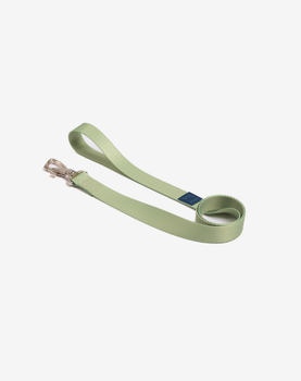 Guia Fita - Lime