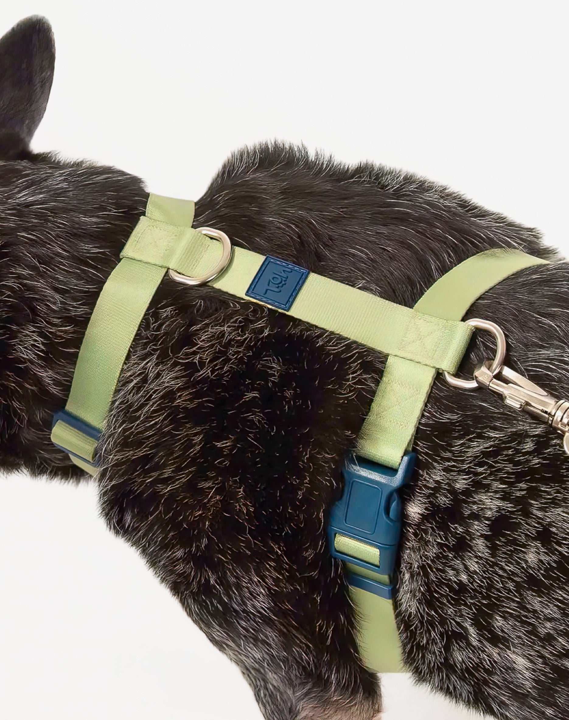 Peitoral H Basic Lime