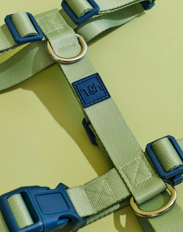 Peitoral H Basic Lime