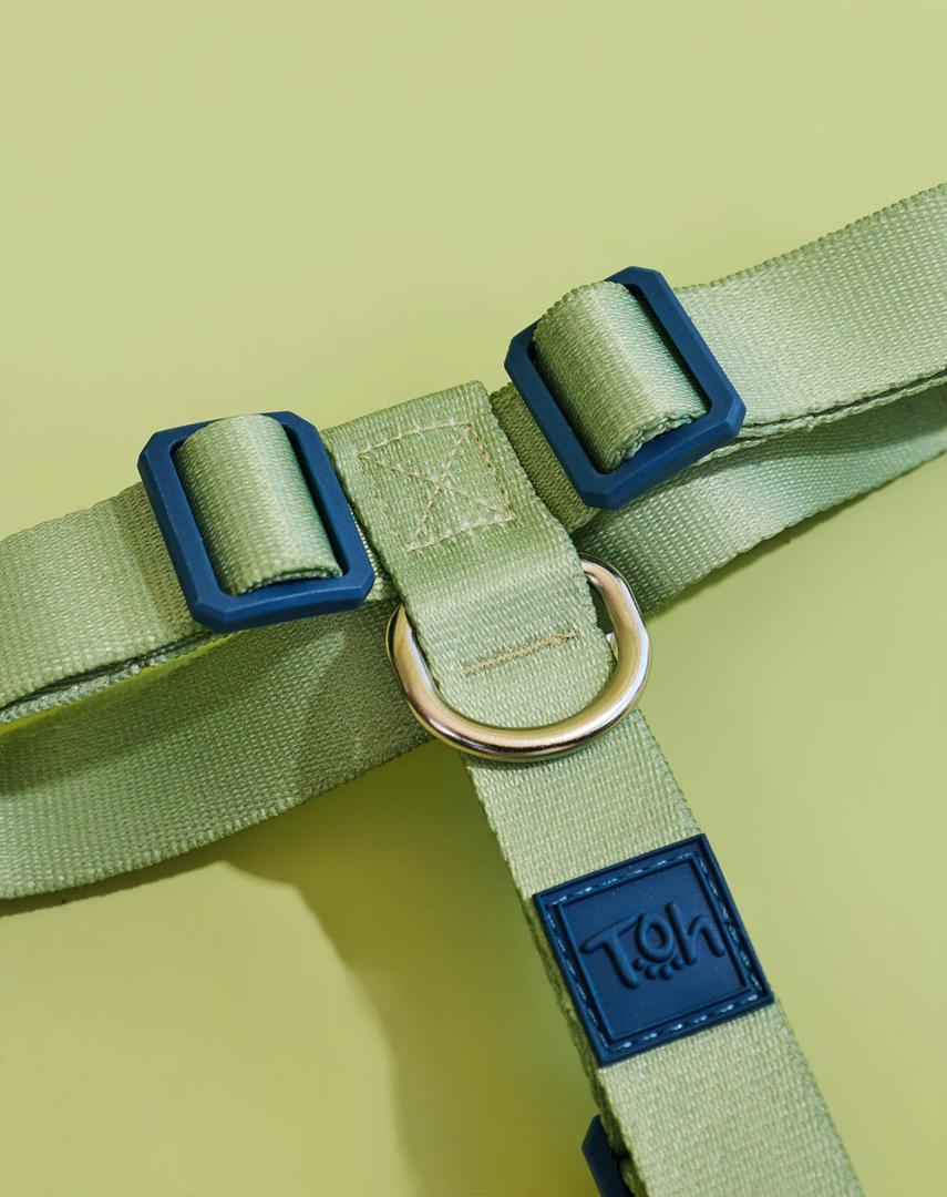 Peitoral H Basic Lime