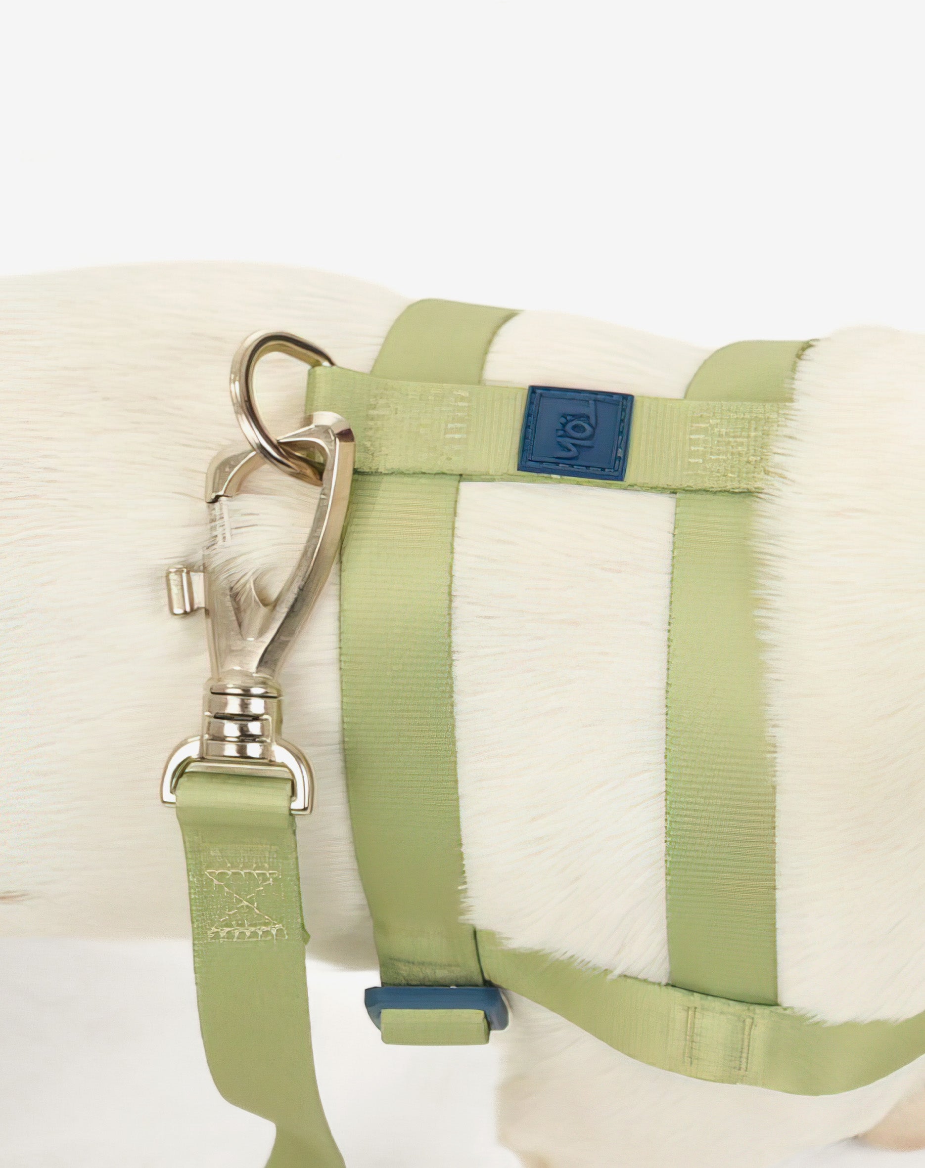 Peitoral Tradicional Basic Lime