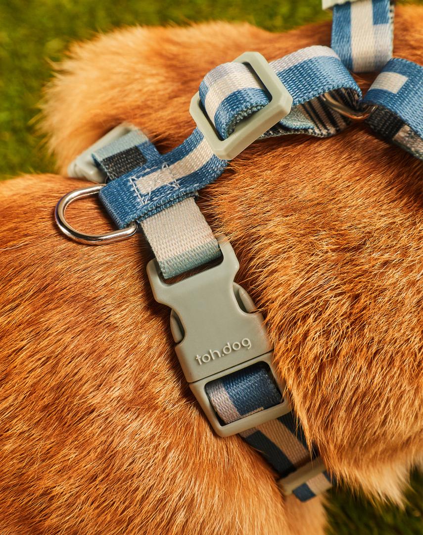 Conjunto Peitoral Neocomfy e Guia para Gatos Paraty