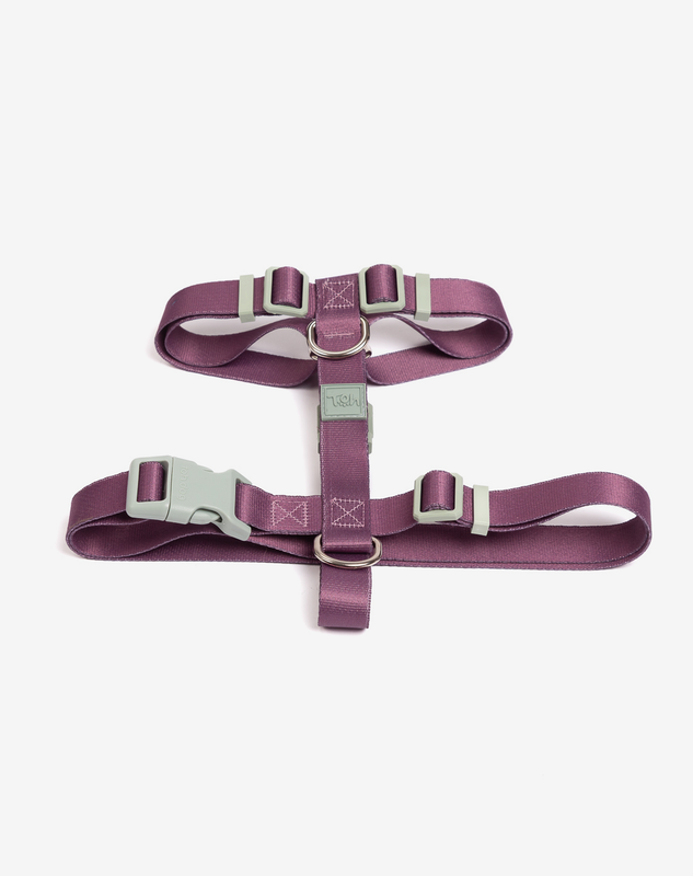 Peitoral H Avulso Basic Blossom