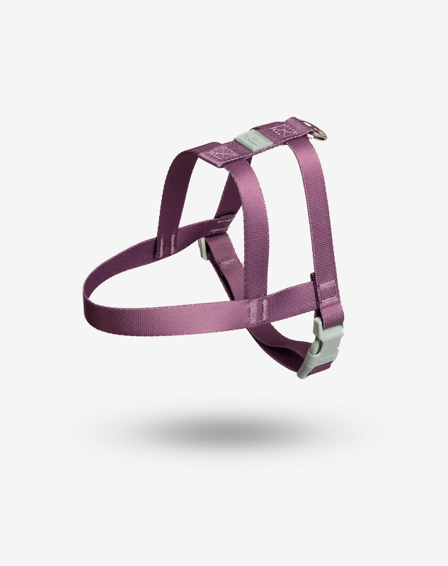 Peitoral Tradicional Avulso Basic Blossom