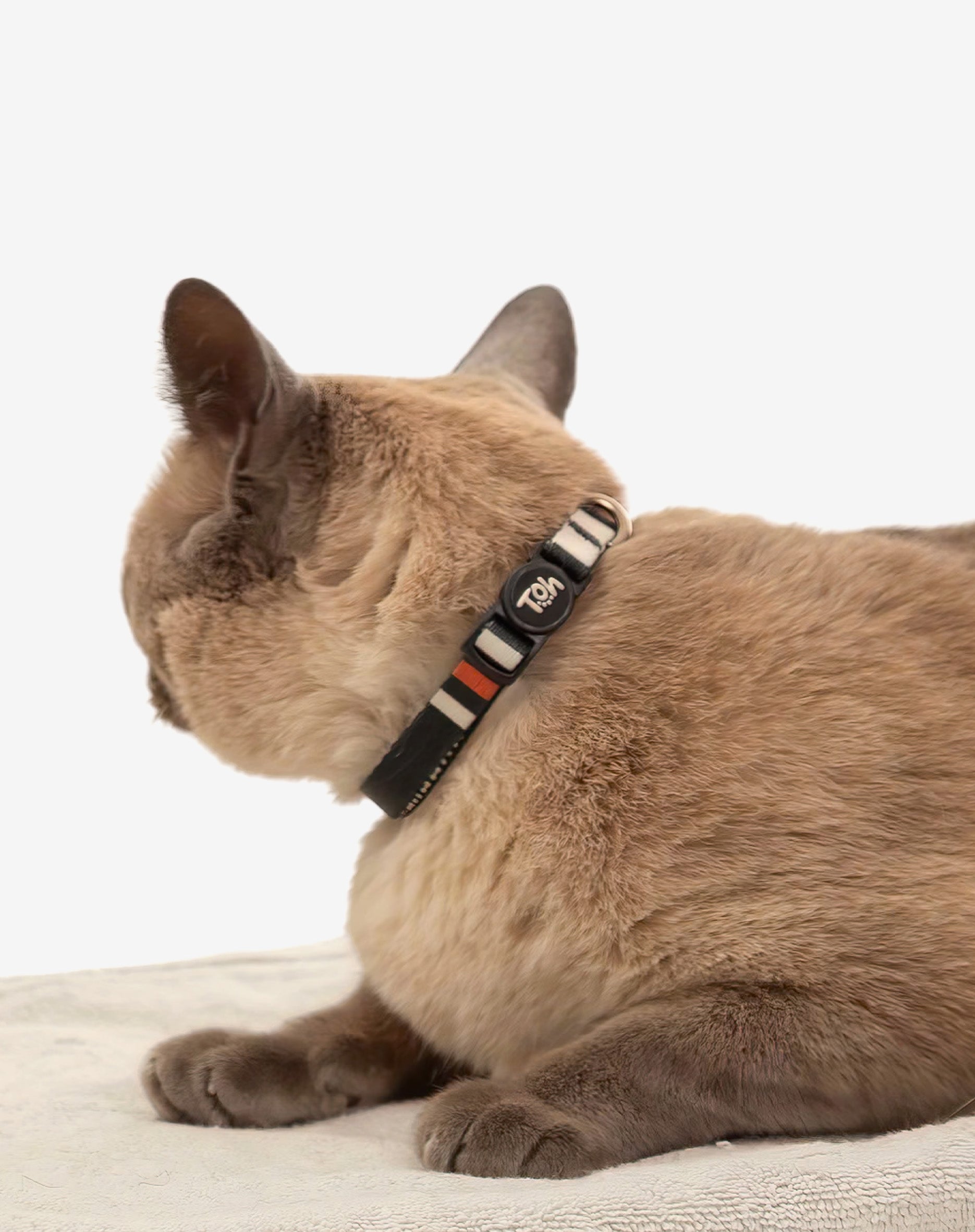 Coleira de Gato Sampa